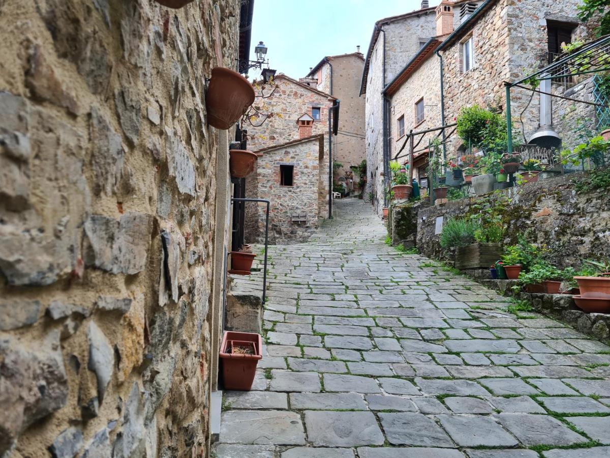 La Casetta Nel Borgo Castelnuovo di Val di Cecina Ngoại thất bức ảnh